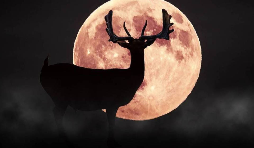 The Big And Bright Buck Moon Will Light Up Houston Skies Next Week