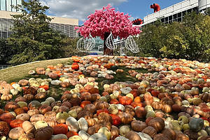 The ultimate autumn wonderland is taking over Houston this fall: giant pumpkin houses, Cinderella’s carriage, and family rides