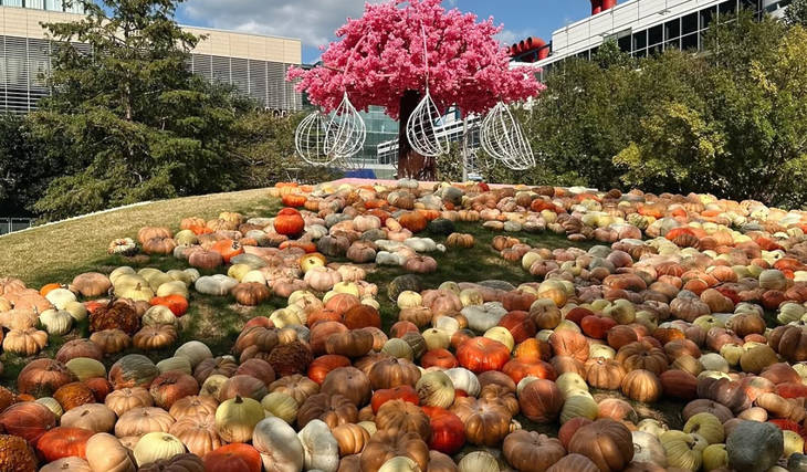 30+ Magical Things To Do This October In Houston