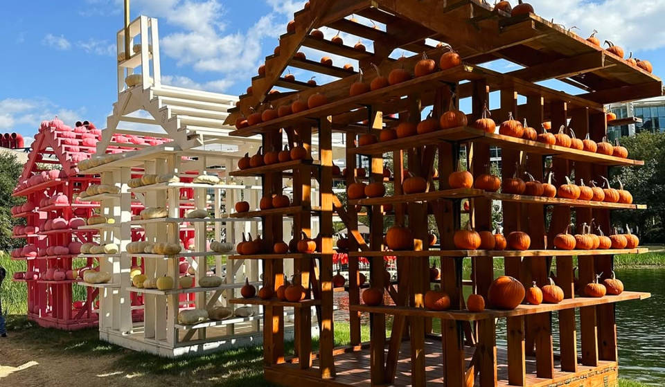 10 Of The Best Things To Do This Fall With Kids In Houston: Fall Festivals, Pumpkin Patches, & More
