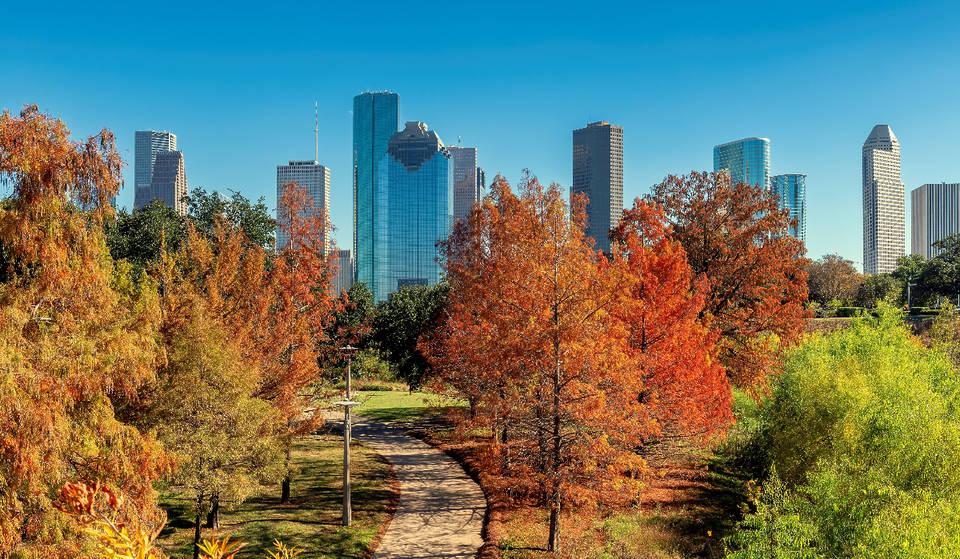 Here&#8217;s What Fall Will Look Like In Texas 2025