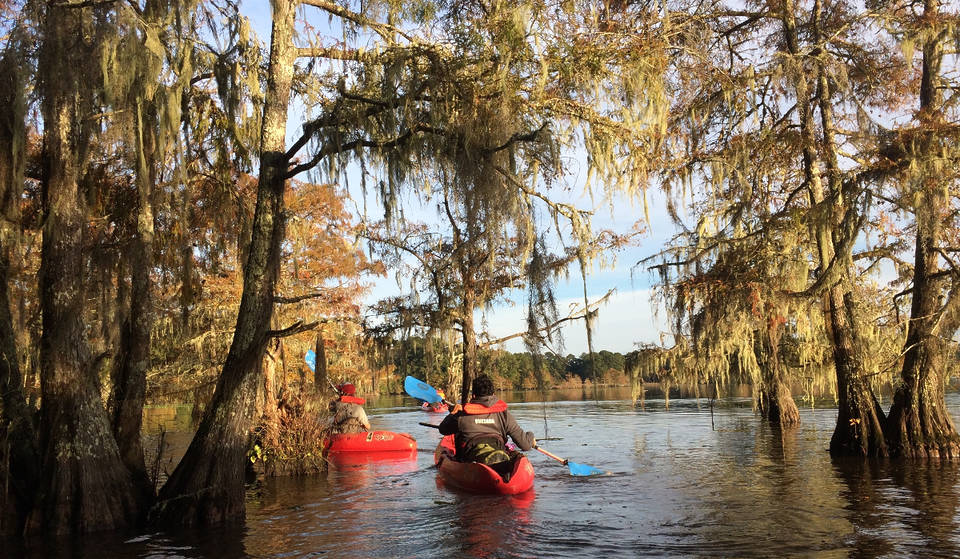 This Closest National Park To Houston Is Known As &#8216;Biological Crossroads Of North America&#8217; And Is Just 90 Minutes Outside The City