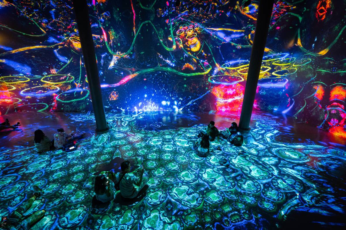 アート・デザイン・音楽 Hysteric Energy Within 13 Photographers アート・デザイン・音楽 Hysteric Energy Within 13