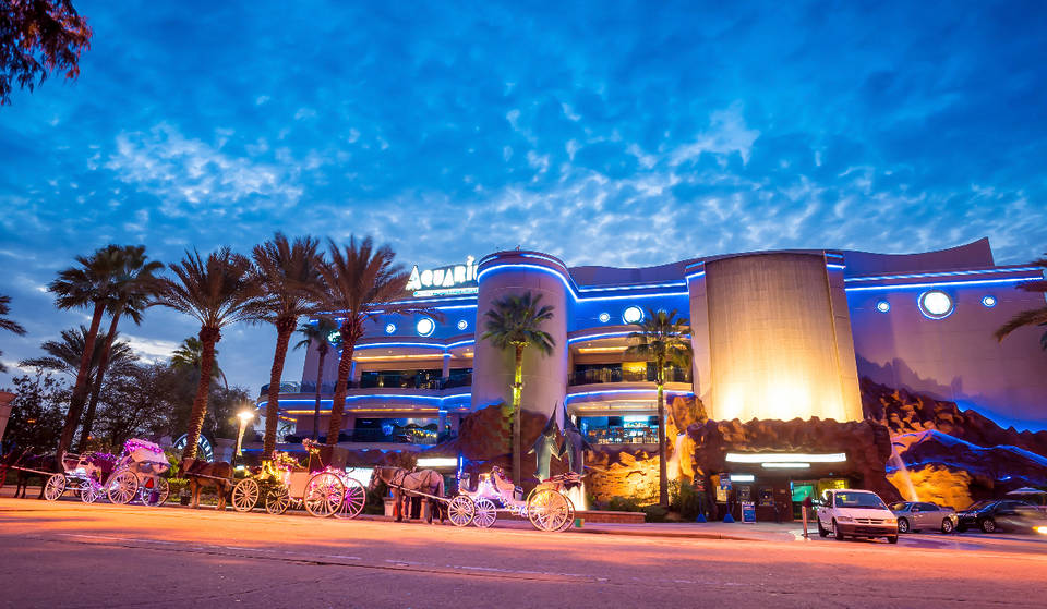 5 See-Worthy Aquariums In Houston To Visit Any Time Of The Year