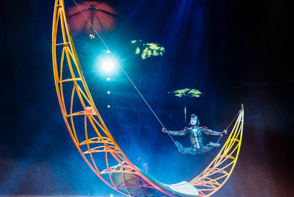 Image shows an acrobat performing on stage for Cirque du Soleil's 'OVO" production