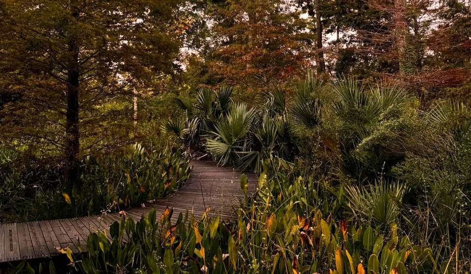 This Scenic Urban Nature Sanctuary Is The Quietest Place In Houston And One Of The Best To See Fall Foliage