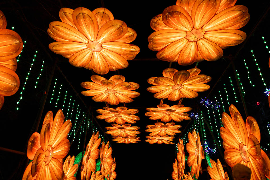 Image shows a floral light tunnel as a part of the 2025 Radiant Nature experience in Houston.