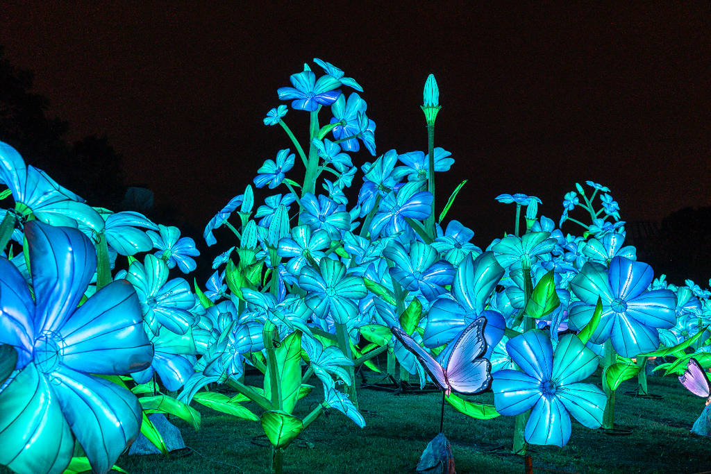 Image shows giant glowing bluebonnets as a part of the Radiant Nature 2025 experience in Houston.