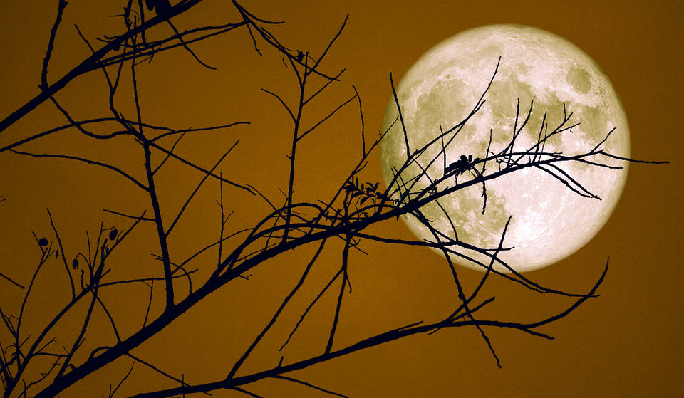The Closest Supermoon Of The Year To Light Up Texas Skies This Week
