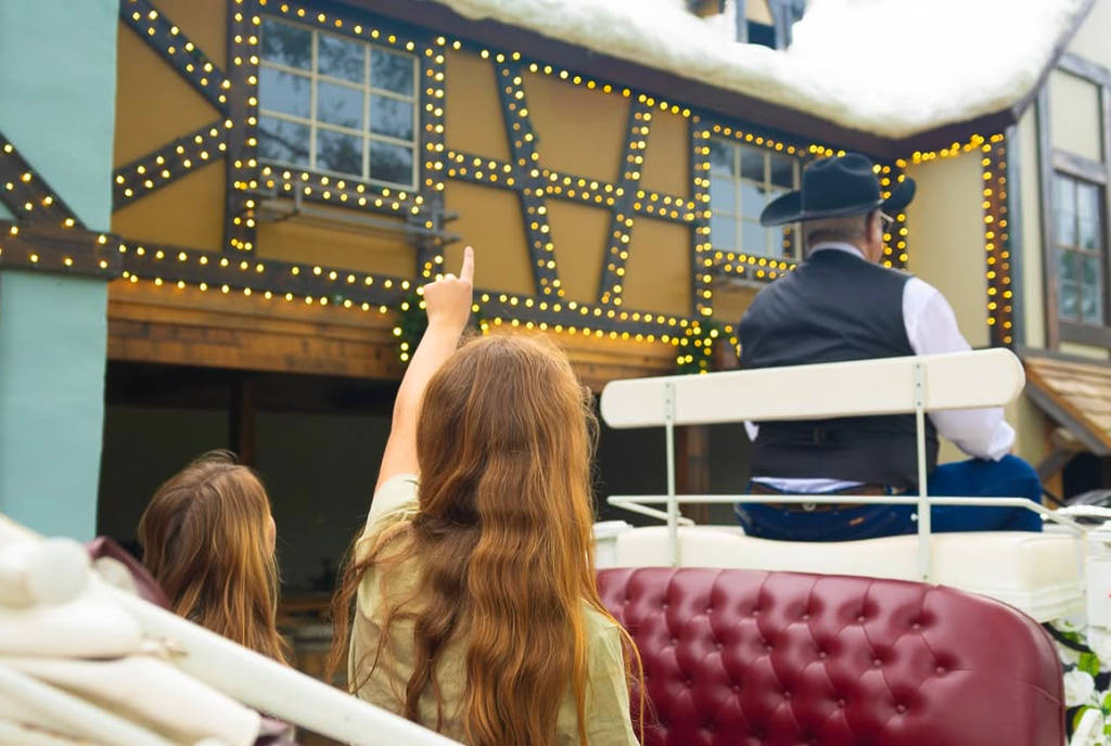 Image shows two children in the back of a horse-drawn carriage, one pointing to Christmas lights at The Christmas Village in Huntsville, Texas.