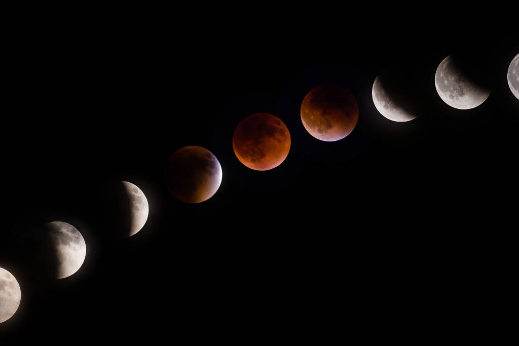 Image shows the different stages of a total lunar eclipse.