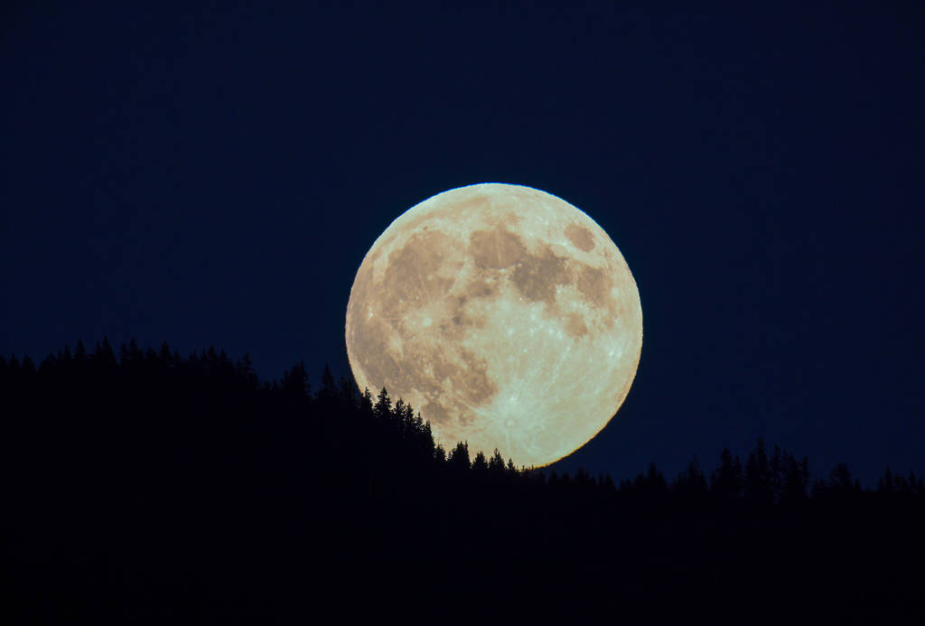 Image shows a large moon behind the silhouette of a tree line.