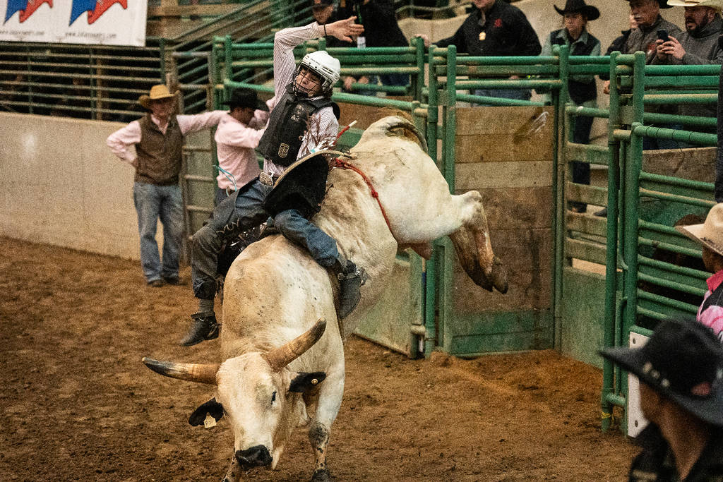 Image shows a bullrider at the Montgomery County Fair and Rodeo. 