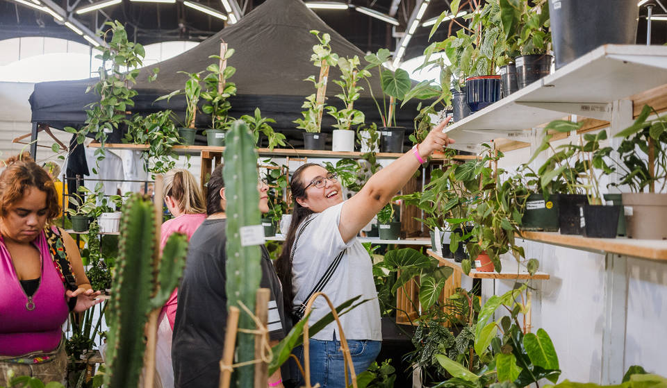 The Nation’s Largest Plant Hobbyist Convention Returns To Houston This April Bigger Than Ever