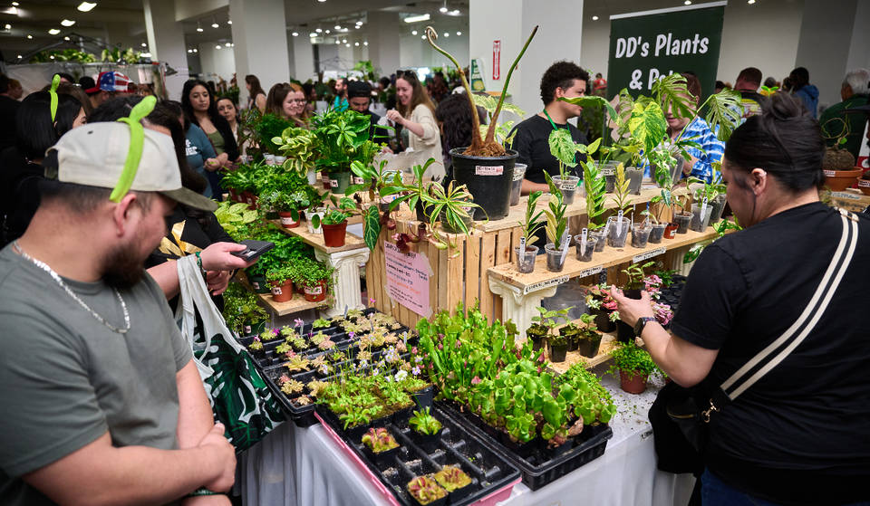 «La mayor convención de aficionados a las plantas del país» llega a Houston el mes que viene con más de 200 expositores botánicos