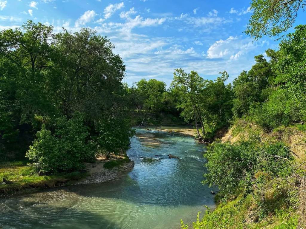 La imagen muestra el río San Marcos en el Parque Estatal de Palmetto. 