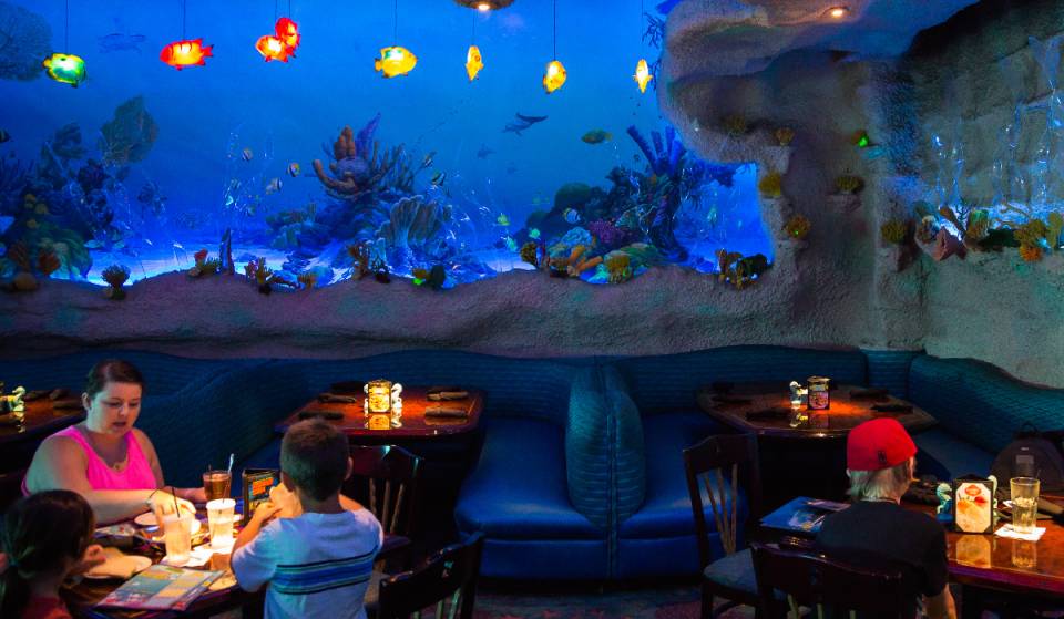 Yelp just named this 6-acre  Houston aquarium as the most outrageous restaurant in the U.S. — featuring a shark tunnel train ride