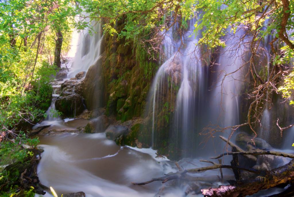 Image shows Gorman Falls.