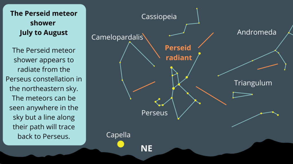 Image shows a graphic relating to the perseid meteor shower.