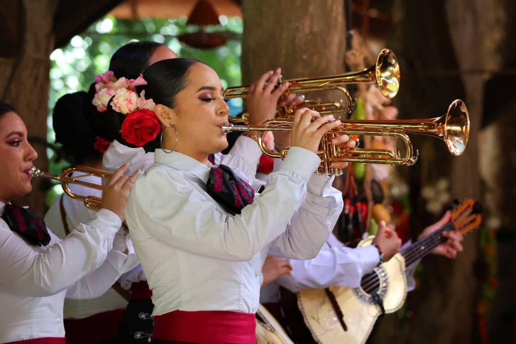 Image shows musicians performing mariachi music.