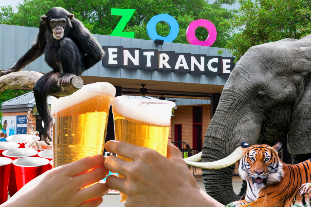 La imagen muestra un collage de animales del zoológico, cerveza, material para el beer pong y la entrada al zoológico de Houston.