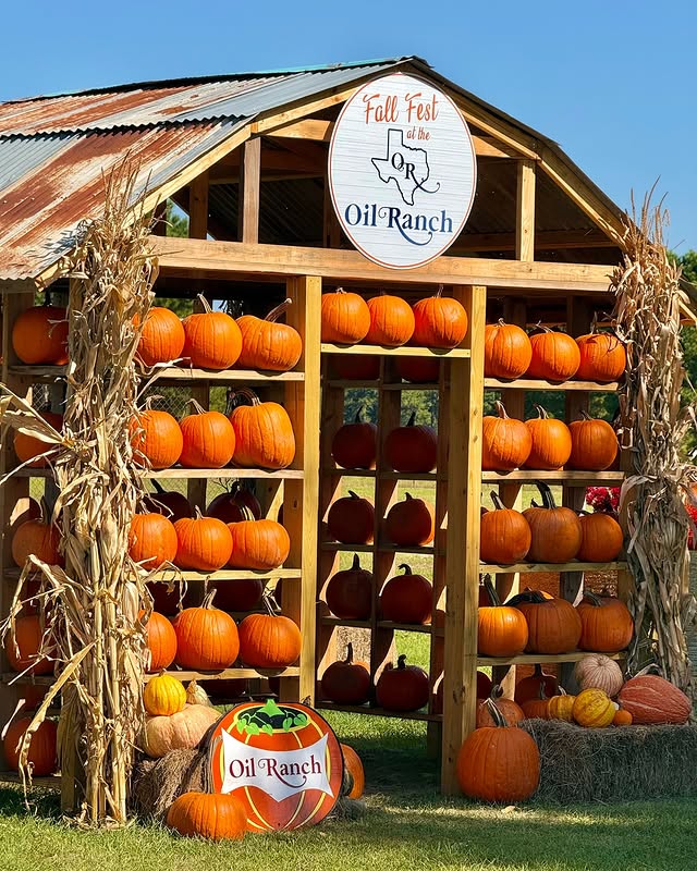 La imagen muestra una pequeña cabaña decorada con calabazas. 