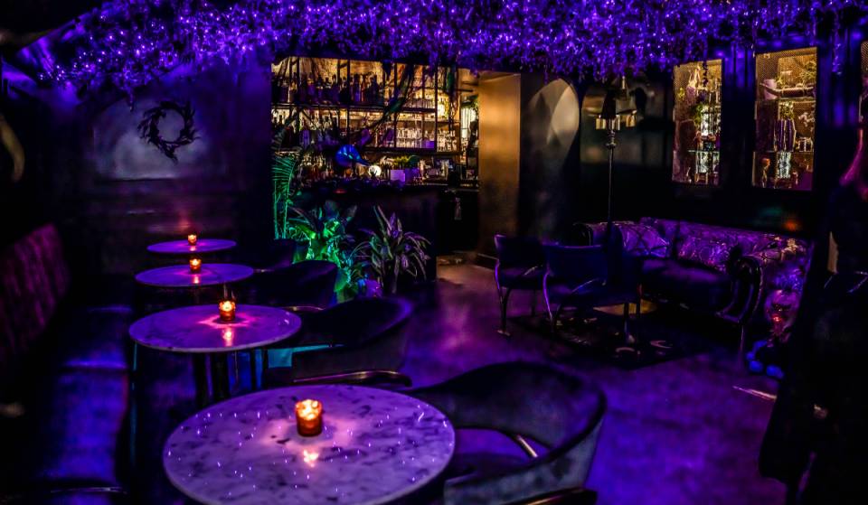 La espeluznante y festiva tienda temporal «Cursed Cauldron» de Houston resurge de entre los muertos este fin de semana con entrada gratuita