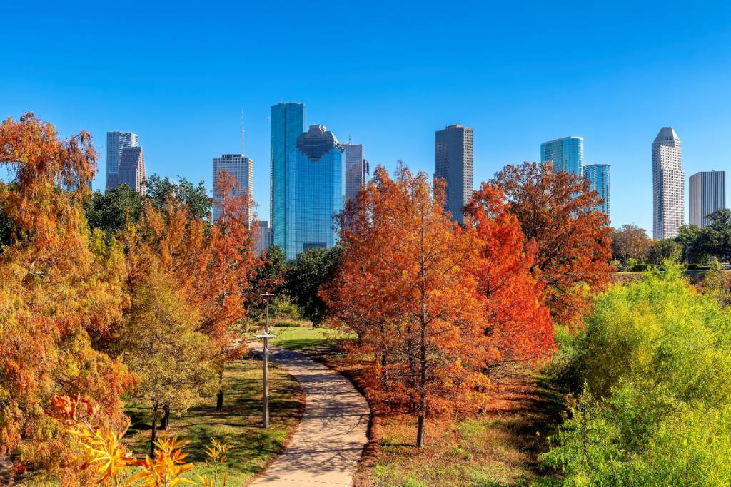 La imagen muestra un parque de Houston con los colores del otoño.