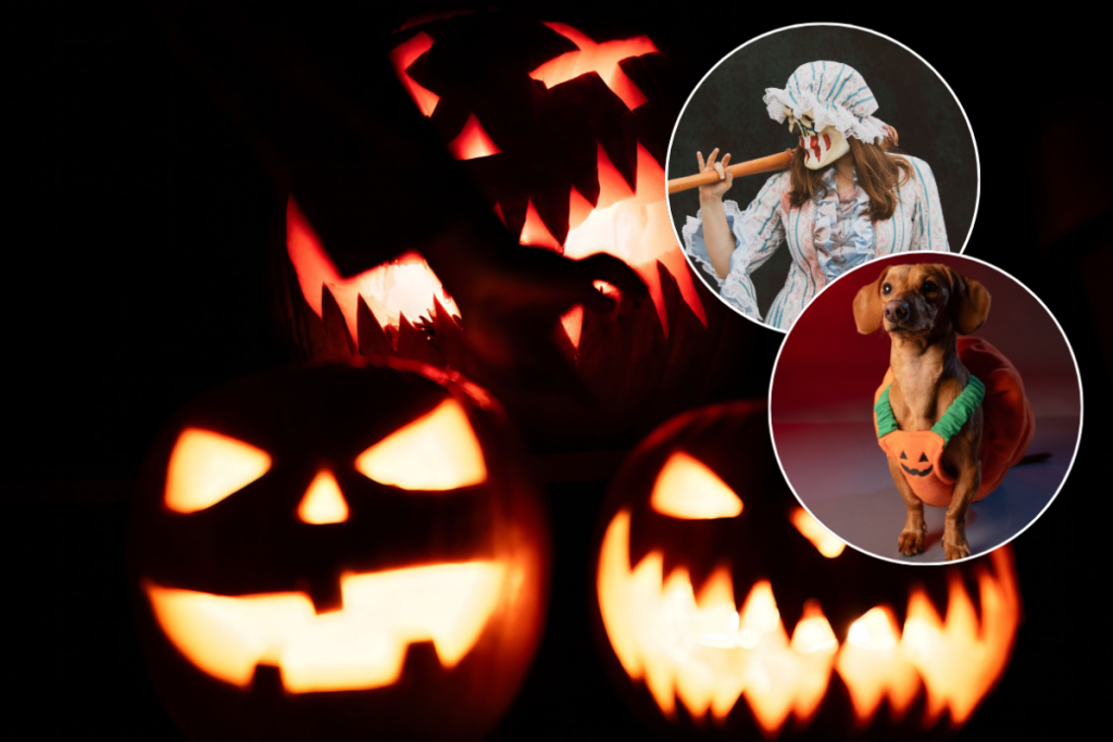 ¿No te va lo de salir de fiesta? Aquí tienes 10 planes únicos para Halloween en Houston, desde películas de terror al aire libre gratis hasta un espectáculo único de lucha libre del Día de los Muertos