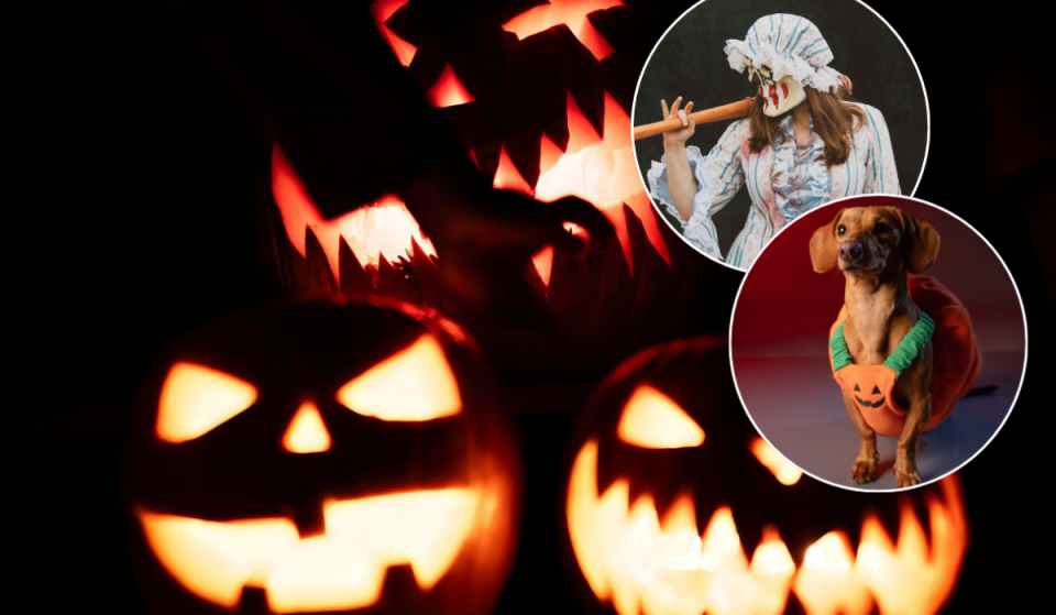 ¿No te va lo de salir de fiesta? Aquí tienes 10 planes únicos para Halloween en Houston, desde películas de terror al aire libre gratis hasta un espectáculo único de lucha libre del Día de los Muertos