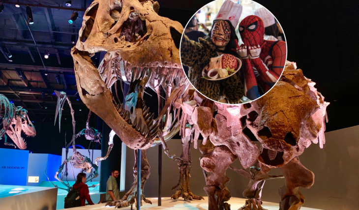 Una fiesta solo para adultos llamada «Spirits & Skeletons» se adueña de este museo de Houston por una sola noche este octubre