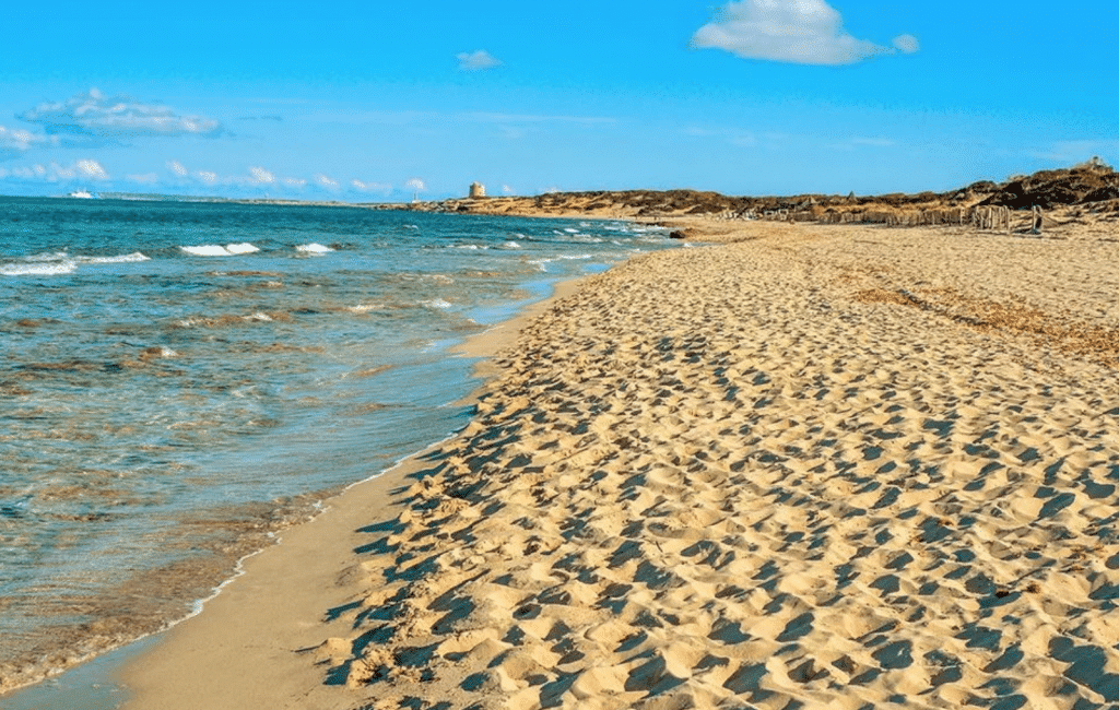 1024px x 650px - Nude Beaches - Secret Ibiza