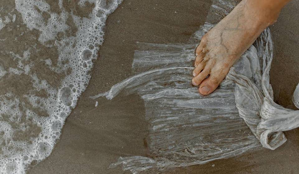 Cuidar el mar en Ibiza: vecinos y turistas se unen para limpiar la costa