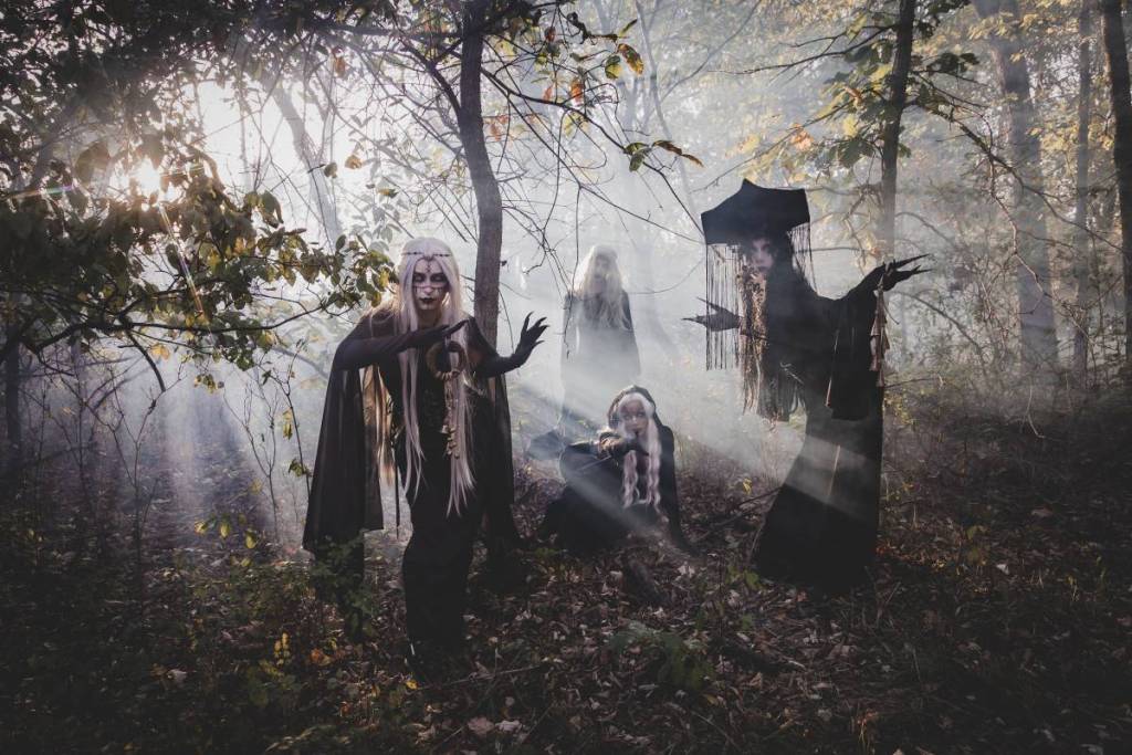 Powell Gardens/Dark Forest