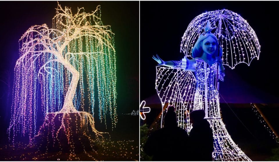 A Spectacular ‘Frozen Kingdom’ Light Festival Is Coming To Rødovre • Lumagica