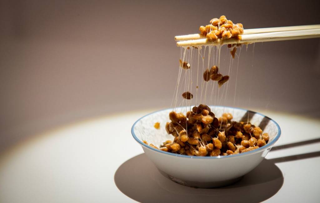 Disgusting Food Museum