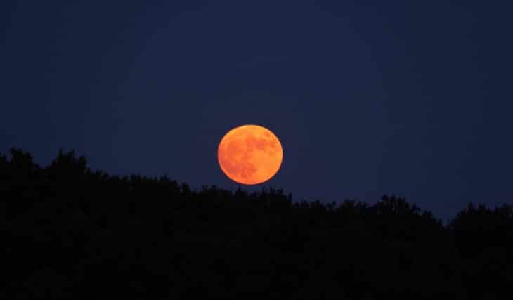 Morgen Abend wird der Jägermond am Herbsthimmel leuchten