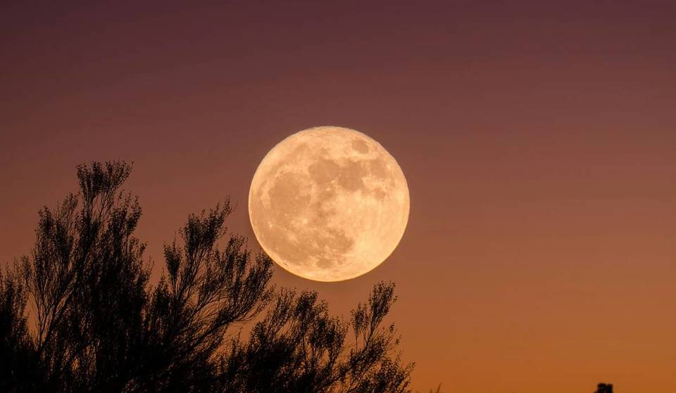 The harvest moon shines in the night sky over Cologne on October 6: you can marvel at a “full” moon for a whole three days