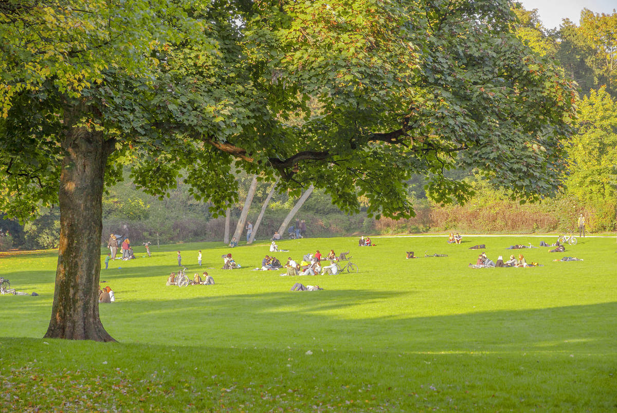 Park Stadtgarten als Superveedel in Köln