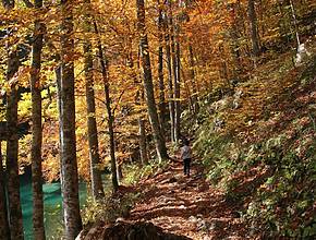 6 herbstliche Ausflugsziele rund um Köln, die ihr ganz einfach mit der Bahn erreichen könnt