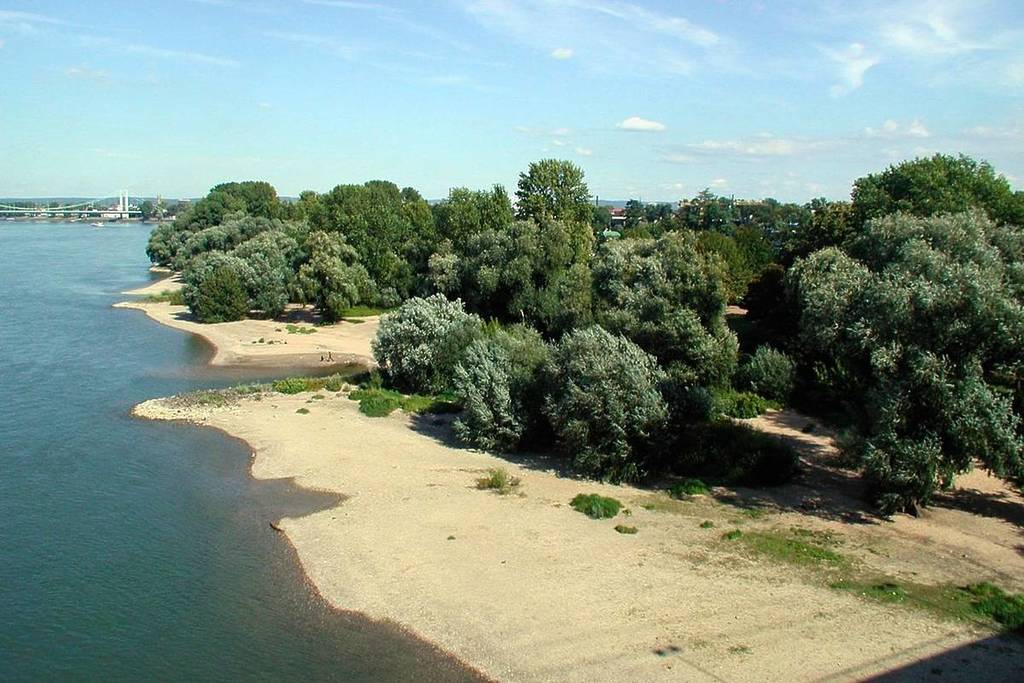 The Rheinpark in Cologne