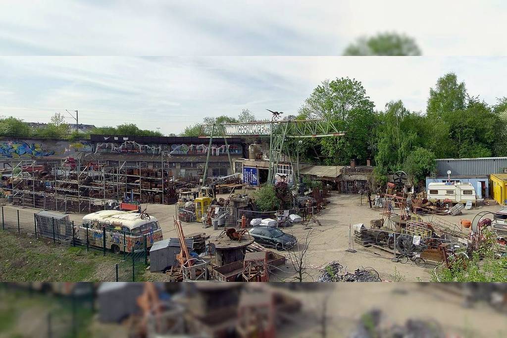 Odonien comes alive in June!