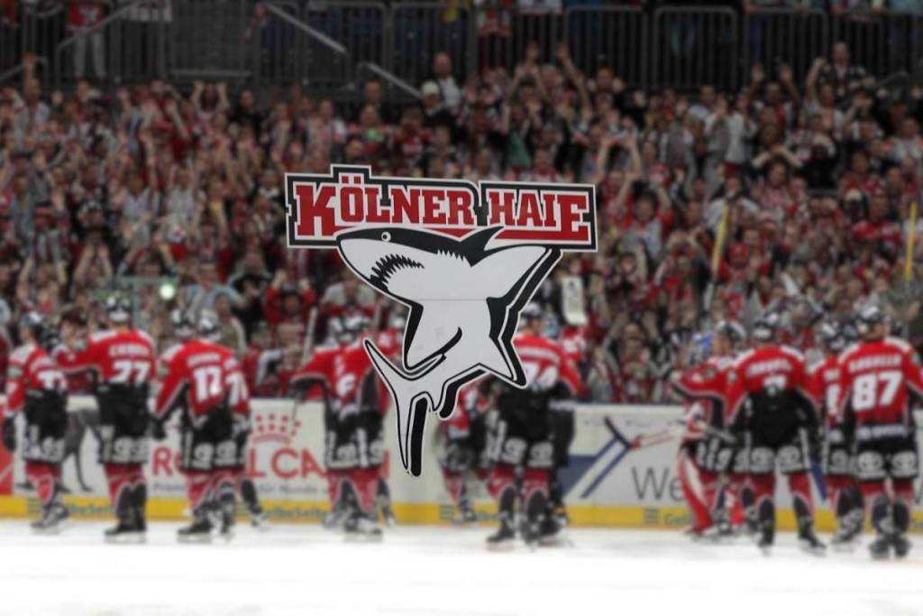 Fankurve der Kölner Haie