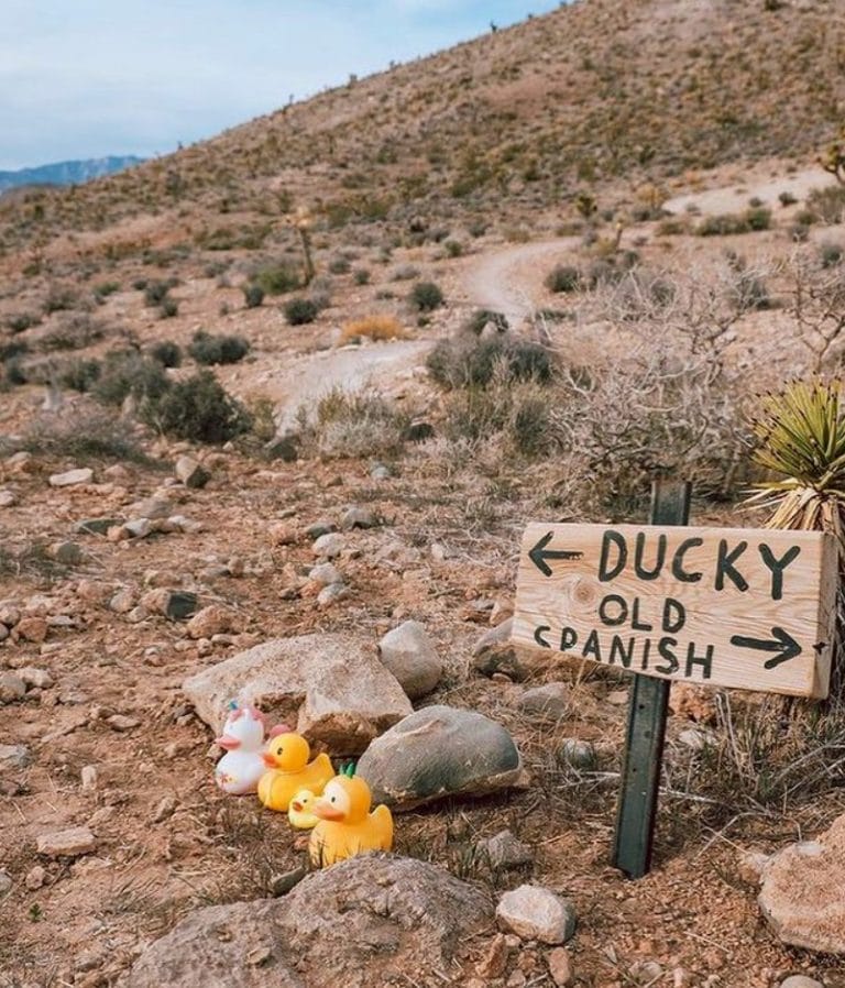 Here's All You Need To Know About The Rubber Ducky Trail