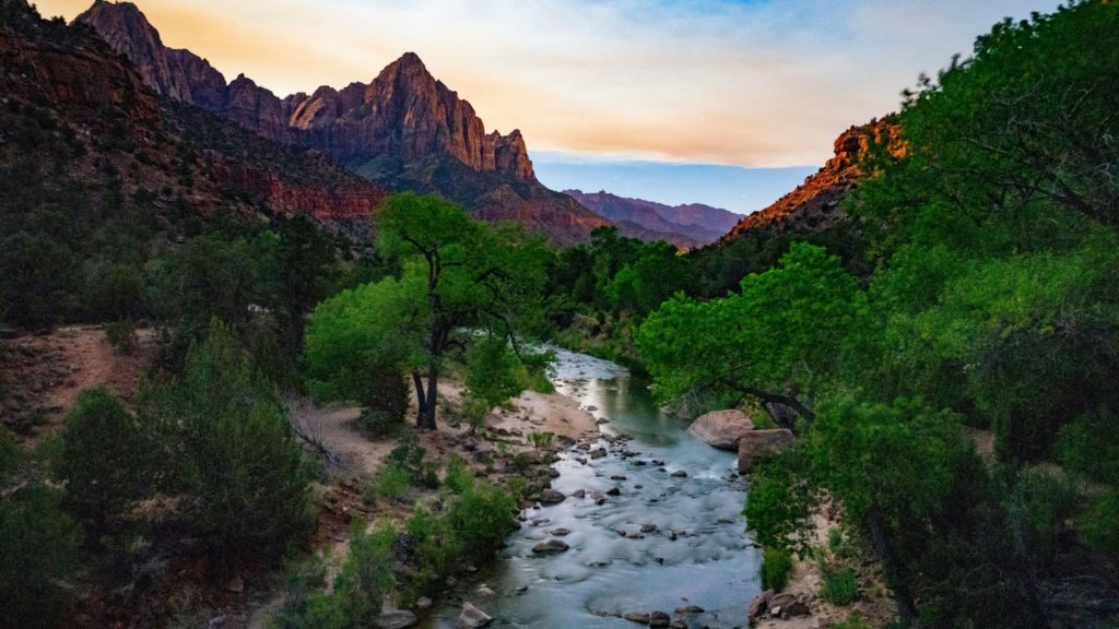 A river flowing through Zion National Park