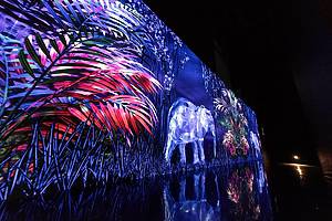 The Arte Museum Las Vegas Is A Must-See!