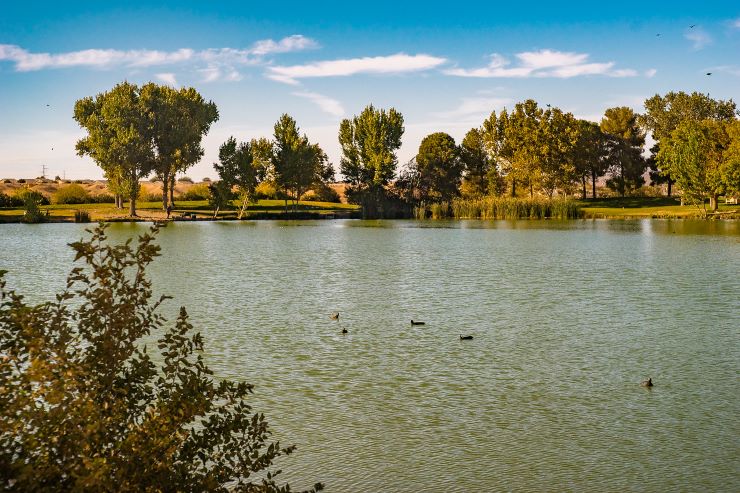 water and trees in a park in Vegas