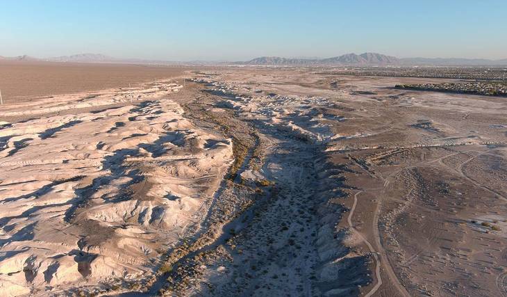Descubra la historia de la Edad de Hielo: Fósiles hallados a sólo 20 minutos de Las Vegas