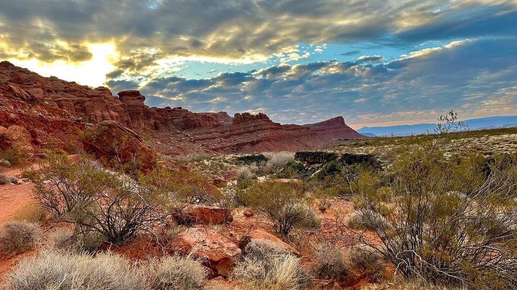 Hike Among Red Rocks And Spot Desert Tortoises At This Spectacular Desert Reserve, Just 2 Hours Away From Vegas