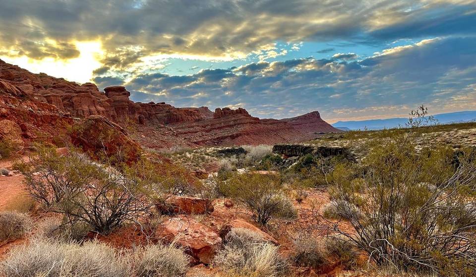 Hike Among Red Rocks And Spot Desert Tortoises At This Spectacular Desert Reserve, Just 2 Hours Away From Vegas